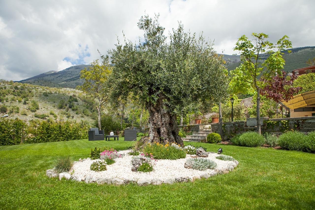 Pescosolido B&B Al Colle מראה חיצוני תמונה
